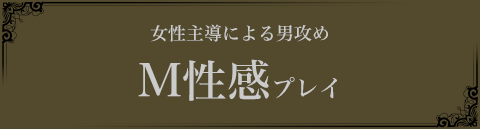 女性主導による男攻めM性感プレイ